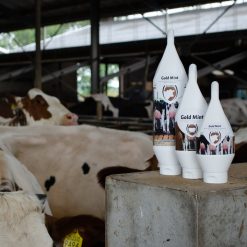 Euro Joe Gold Mint Sta-/Hang Tube -Euro Joe shop 135962