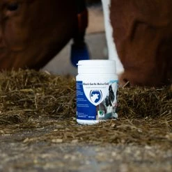 Euro Joe Black Garlic Bolus Calf