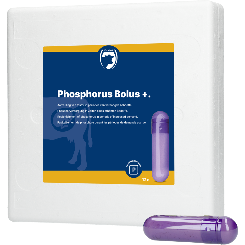 Fosfor Bolus+ Euro Joe Fosfor Bolus+ -Euro Joe shop 258787