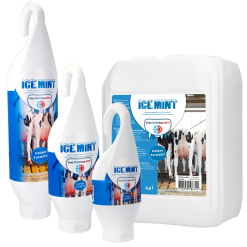 Euro Joe Ice Mint Gel Sta- / Hangtube