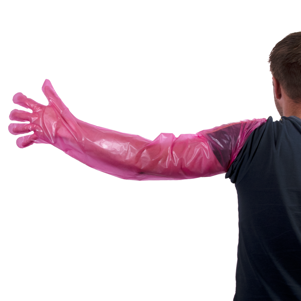 Wegwerphandschoenen Vet Roze Euro Joe Wegwerphandschoenen Vet Roze -Euro Joe shop 261258 1