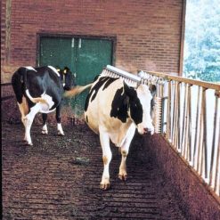 Euro Joe Veeborstel Compleet