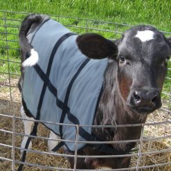 Euro Joe Bodyguard Zomer Dekje Kalf -Euro Joe shop 262028