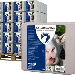 Euro Joe Liksteen "MINERAL" Schaap