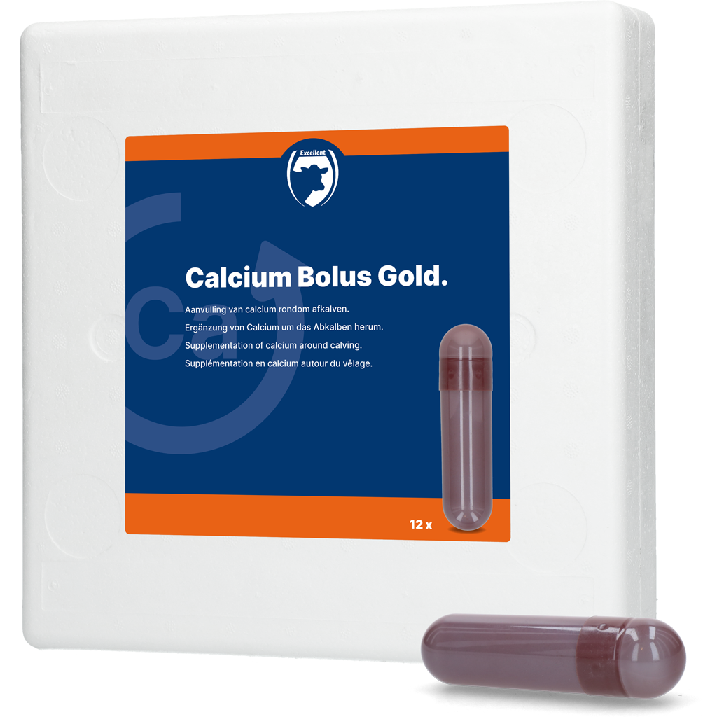 Calcium Bolus Gold Euro Joe Calcium Bolus Gold -Euro Joe shop 266376