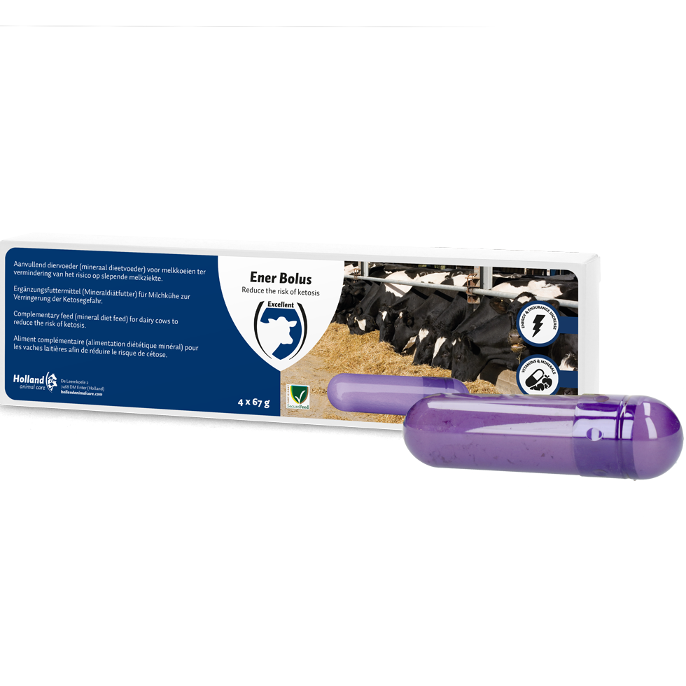 Ener Bolus Euro Joe Ener Bolus -Euro Joe shop 266950