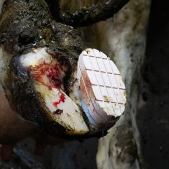 Euro Joe Easy Hoof Block Hout -Euro Joe shop 272830 scaled