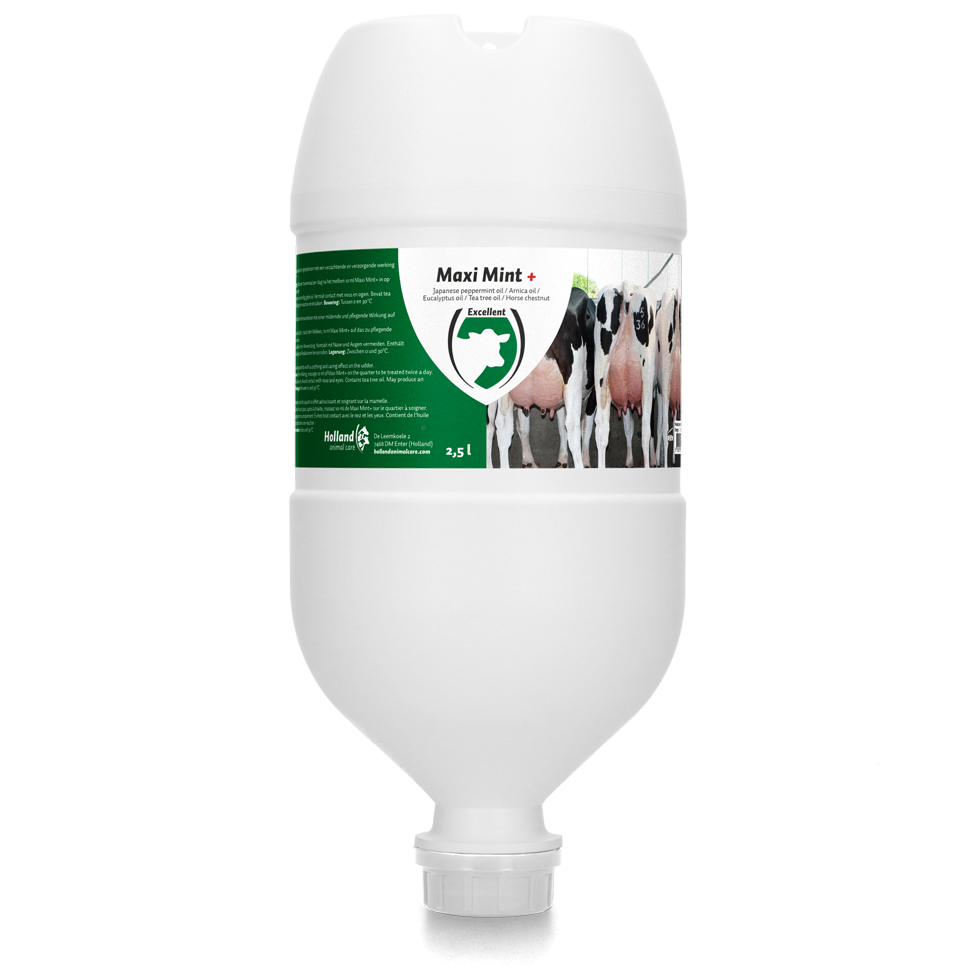 Maxi Mint Plus Hangtube Euro Joe Maxi Mint Plus Hangtube -Euro Joe shop 273283