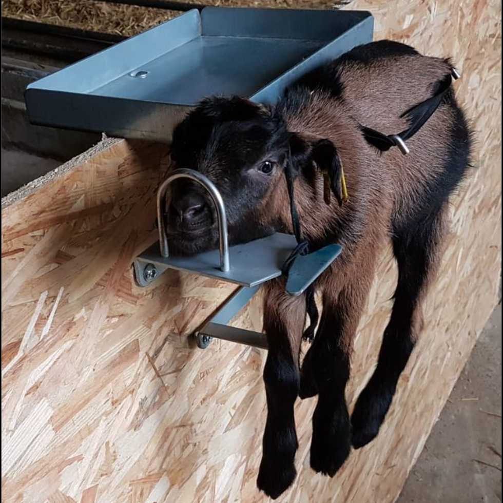 Express lam-/geithouder Euro Joe Express Lam-/geithouder -Euro Joe shop 273776