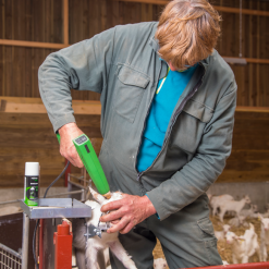 Euro Joe Express COSMOS Op Netvoeding Voor Geit -Euro Joe shop 275630