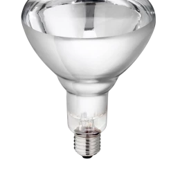 Euro Joe Lamp 250w Wit Hard Glas Philips