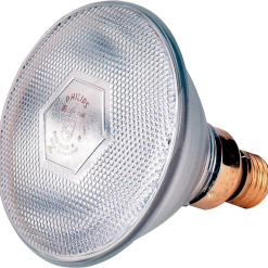 Euro Joe Lamp 100 W Wit Philips Spaar