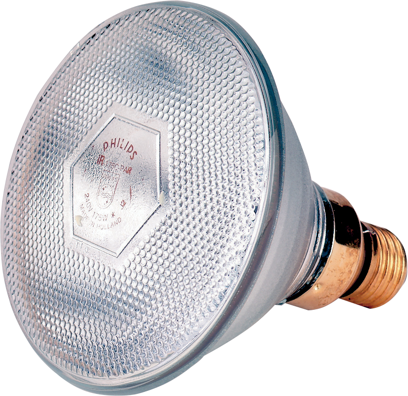 Lamp 100 W wit Philips spaar Euro Joe Lamp 100 W Wit Philips Spaar -Euro Joe shop 90167