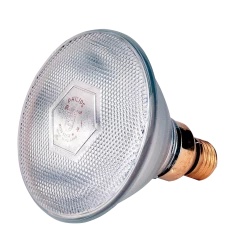 Euro Joe Lamp 175 W Wit Philips Spaar