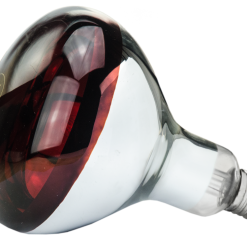 Euro Joe Lamp 250 W Infrarood Hard Glas