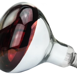 Euro Joe Lamp 250 W Infrarood Hard Glas