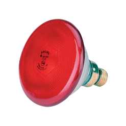 Euro Joe Lamp 100 W Rood Philips Spaar