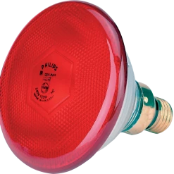 Euro Joe Lamp 175 W Rood Philips Spaar