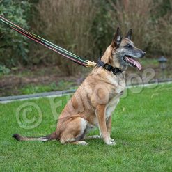 Euro Joe Black-Neon Leash Without Handle -Euro Joe shop Black neon 03 1