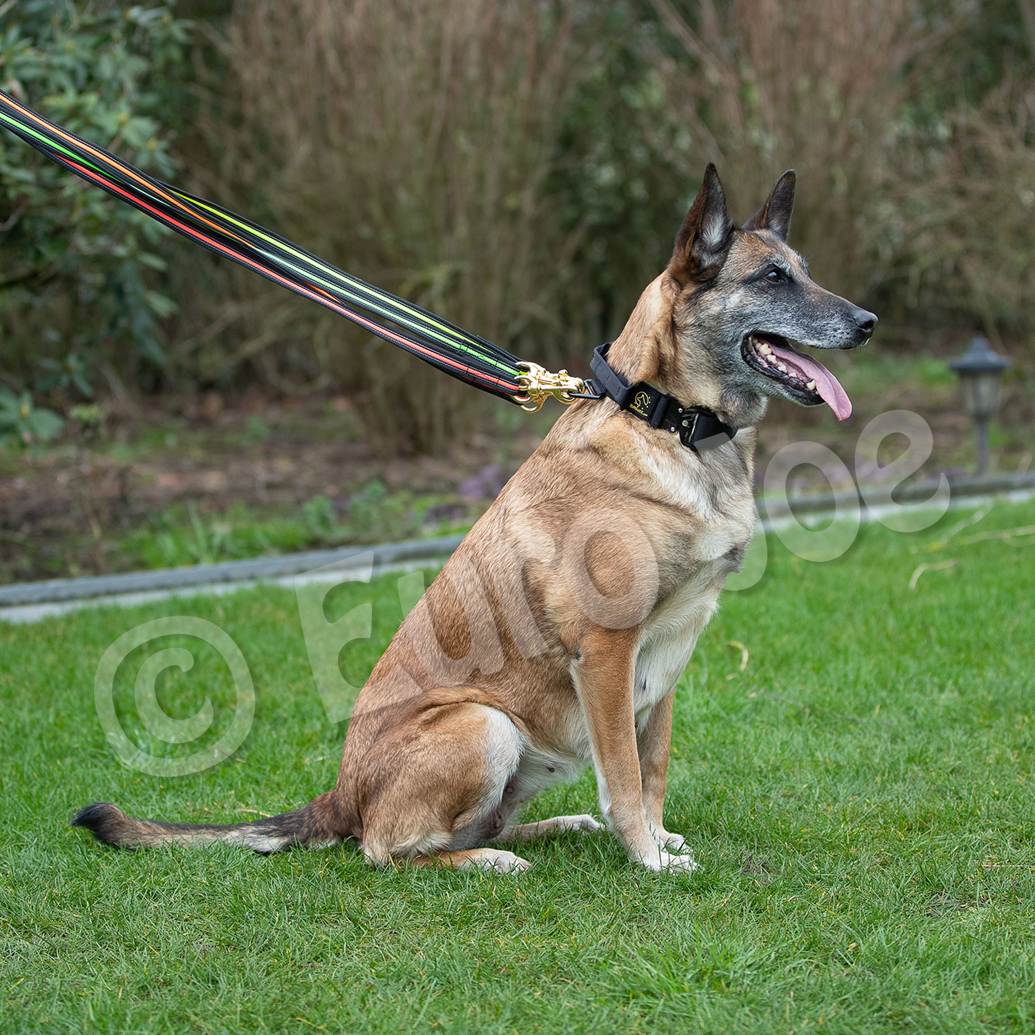 Black-Neon leash with handle Euro Joe Black-Neon Leash With Handle -Euro Joe shop Black neon 03