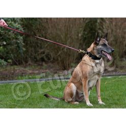 Euro Joe Black-Neon Leash With Handle -Euro Joe shop Black neon 05