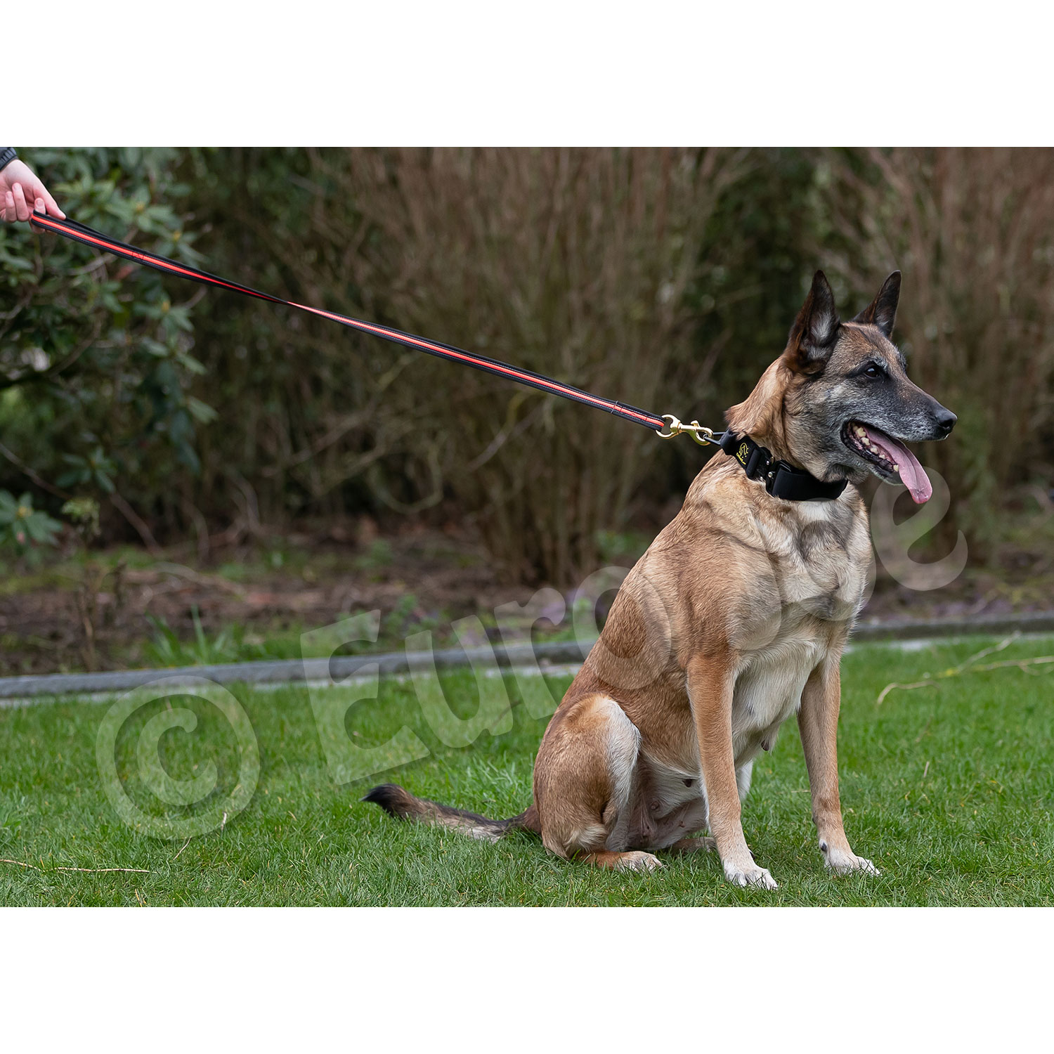 Black-Neon leash with handle Euro Joe Black-Neon Leash With Handle -Euro Joe shop Black neon 05