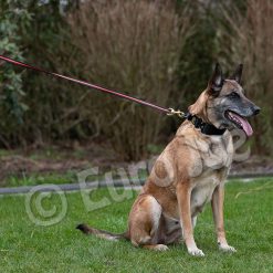 Euro Joe Black-Neon Leash Without Handle -Euro Joe shop Black neon 06