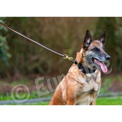 Euro Joe Black-Neon Leash Without Handle -Euro Joe shop Black neon 07 1