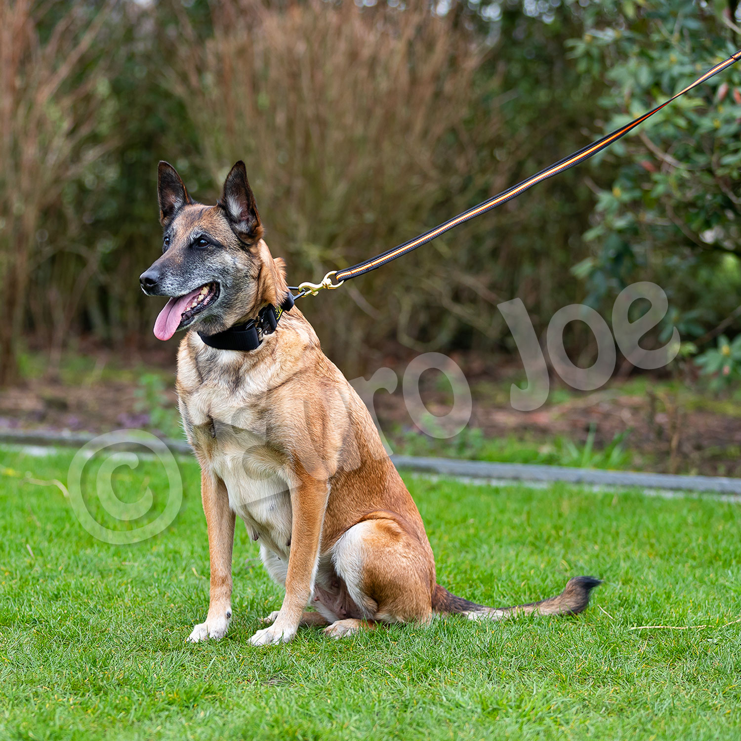 Black-Neon leash with handle Euro Joe Black-Neon Leash With Handle -Euro Joe shop Black neon 08