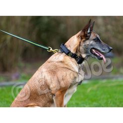 Euro Joe shop -Euro Joe shop Black neon 10