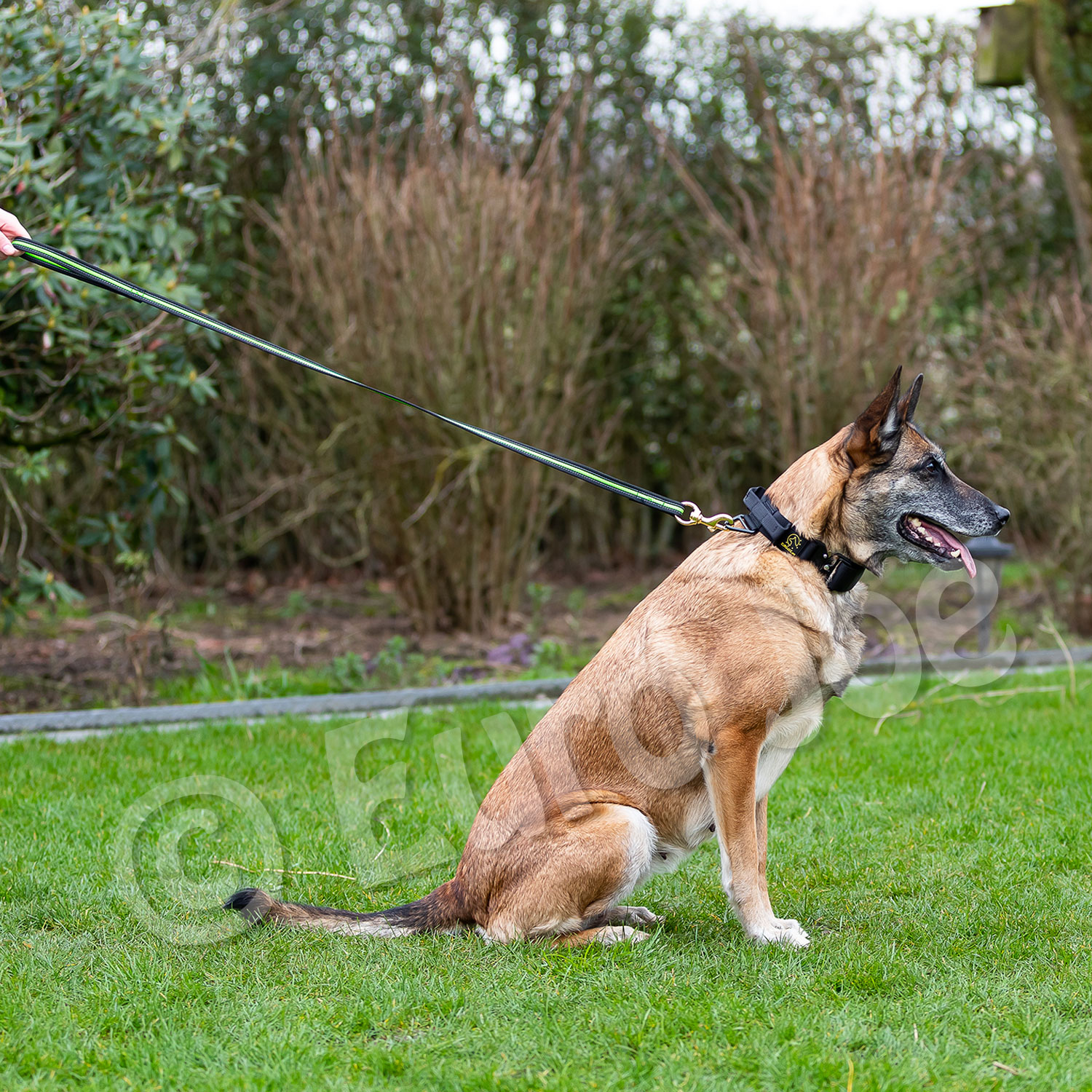 Black-Neon leash with handle Euro Joe Black-Neon Leash With Handle -Euro Joe shop Black neon 11