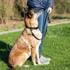 Euro Joe Line "Sporty" Without Handle 20 Mm -Euro Joe shop Honey black 09 1