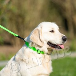 Euro Joe Collar "Sporty" -Euro Joe shop Honey green 11