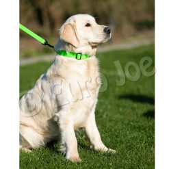 Euro Joe Collar "Sporty" -Euro Joe shop Honey green 12