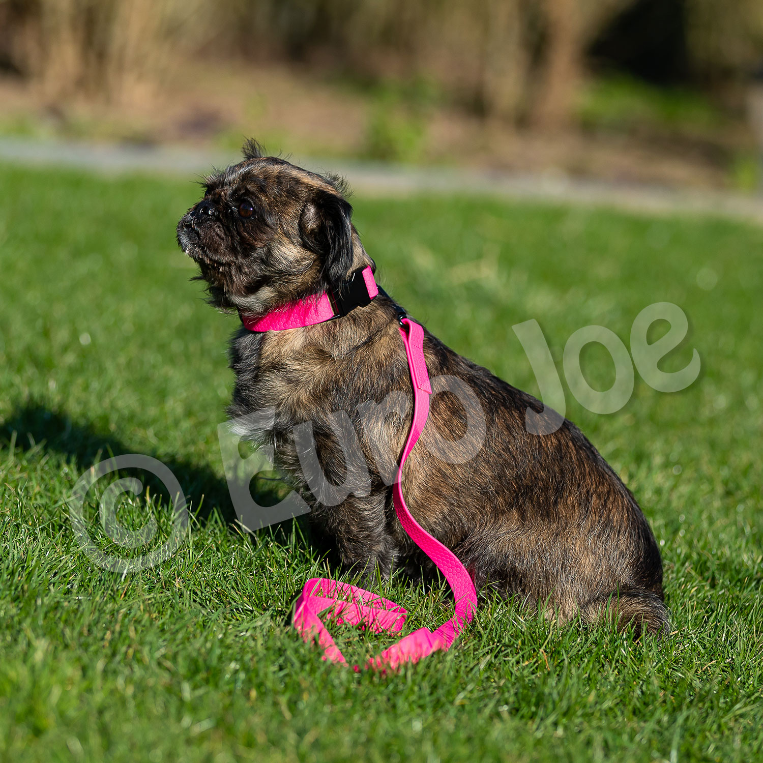 Collar "Sporty" Euro Joe Collar "Sporty" -Euro Joe shop Honey pink 11