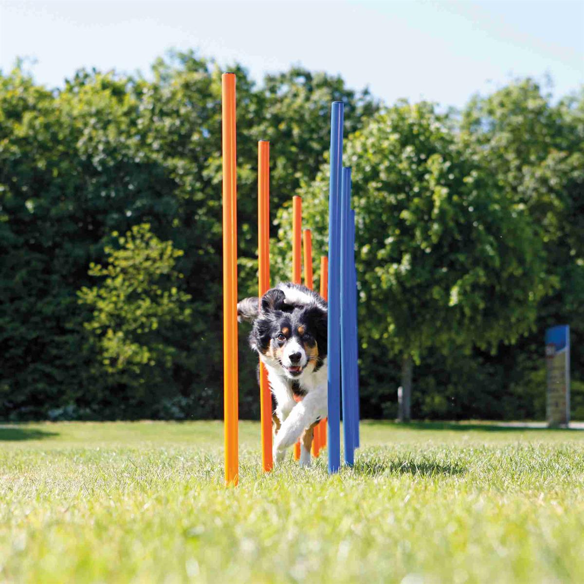 Fun Agility slalom, plastic Euro Joe Fun Agility Slalom, Plastic -Euro Joe shop PHO PRO DOG 3206 1