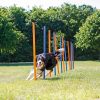 Euro Joe Fun Agility Slalom, Plastic -Euro Joe shop PHO PRO DOG 3206 3