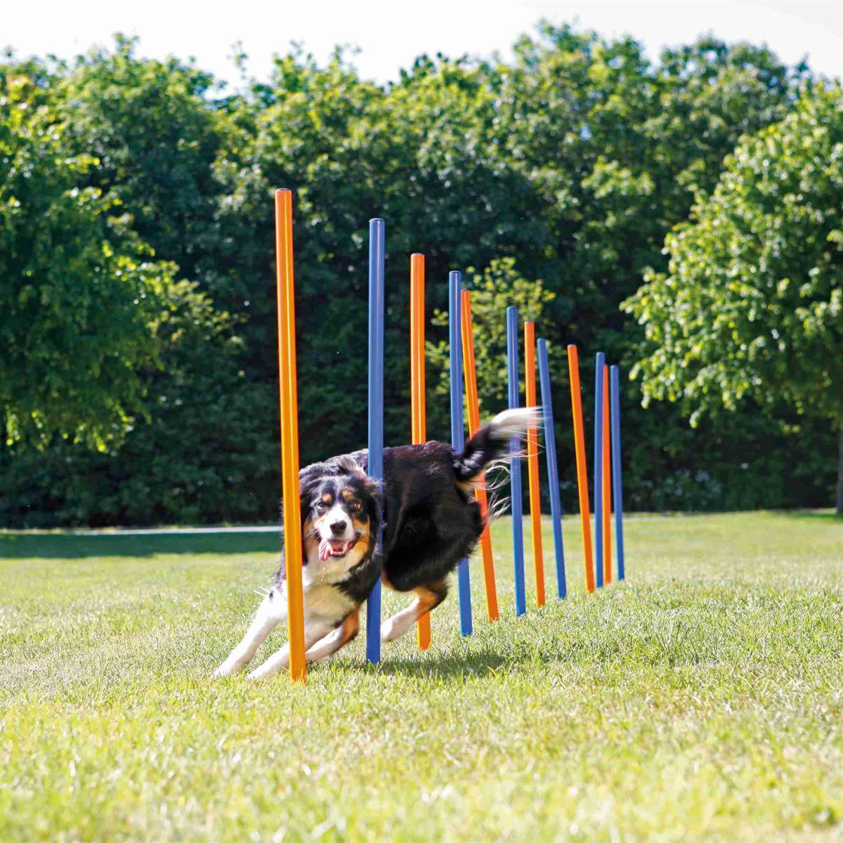 Fun Agility slalom, plastic Euro Joe Fun Agility Slalom, Plastic -Euro Joe shop PHO PRO DOG 3206 3