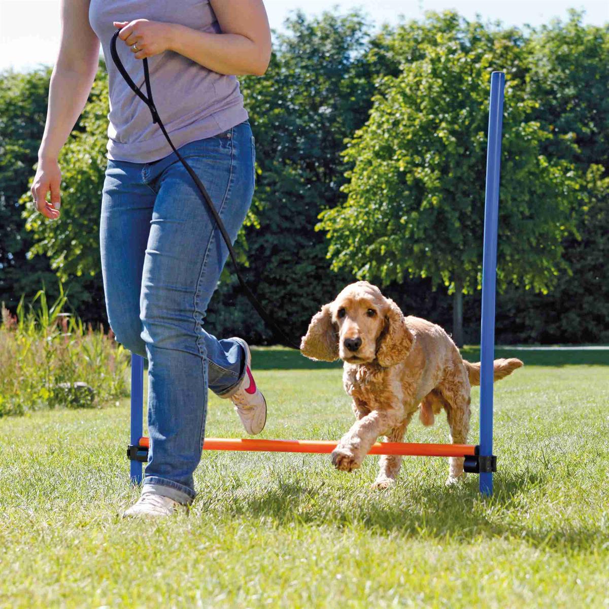 Fun Agility hurdle, plastic Euro Joe Fun Agility Hurdle, Plastic -Euro Joe shop PHO PRO DOG 3207 2