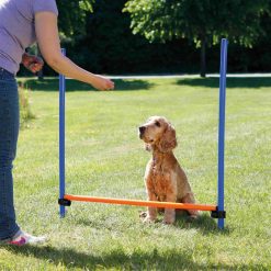 Euro Joe Fun Agility Hurdle, Plastic -Euro Joe shop PHO PRO DOG 3207 3