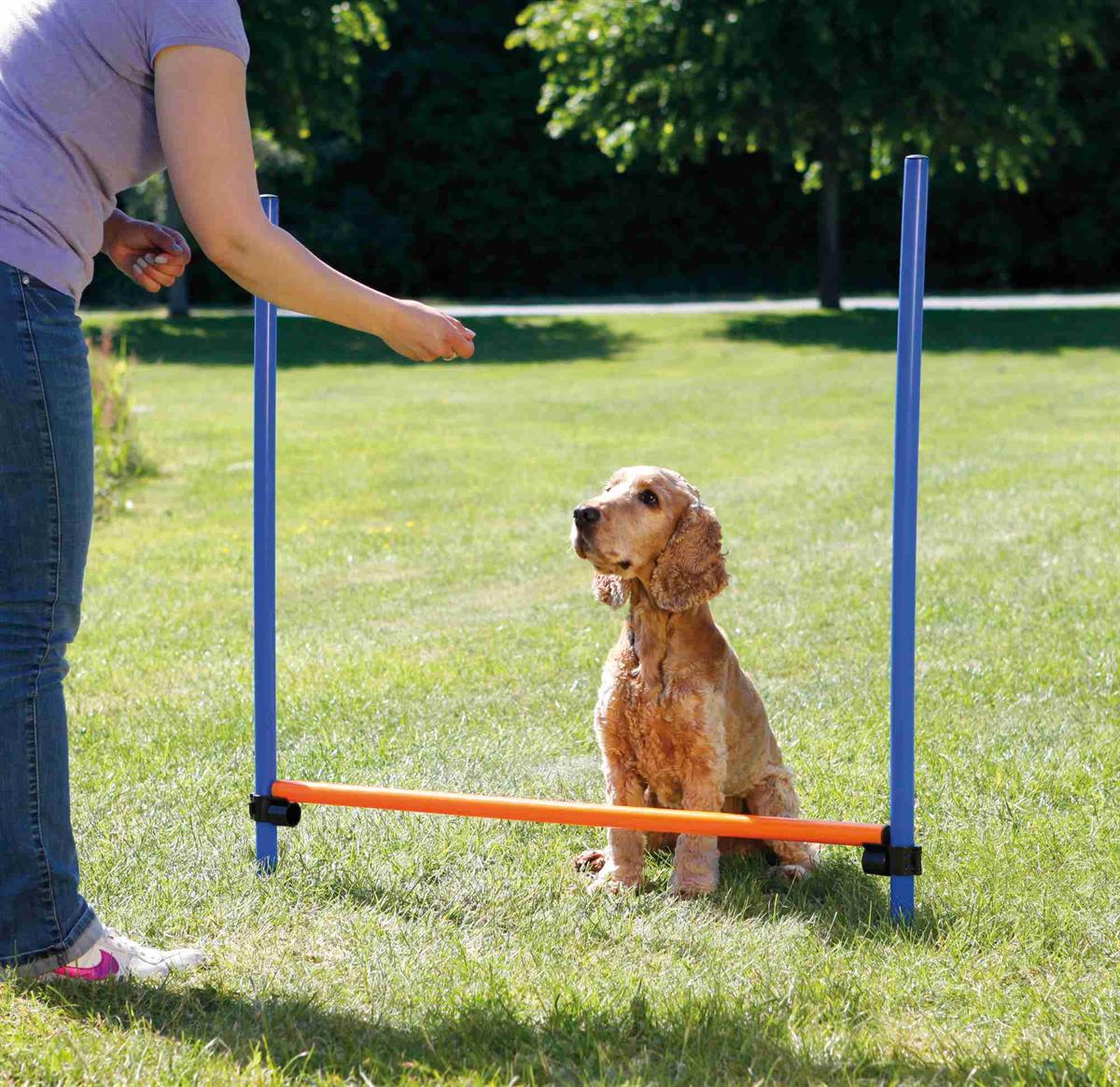 Fun Agility hurdle, plastic Euro Joe Fun Agility Hurdle, Plastic -Euro Joe shop PHO PRO DOG 3207 3