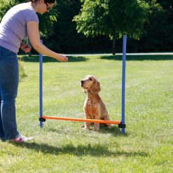 Euro Joe Fun Agility Hurdle, Plastic -Euro Joe shop PHO PRO DOG 3207 6