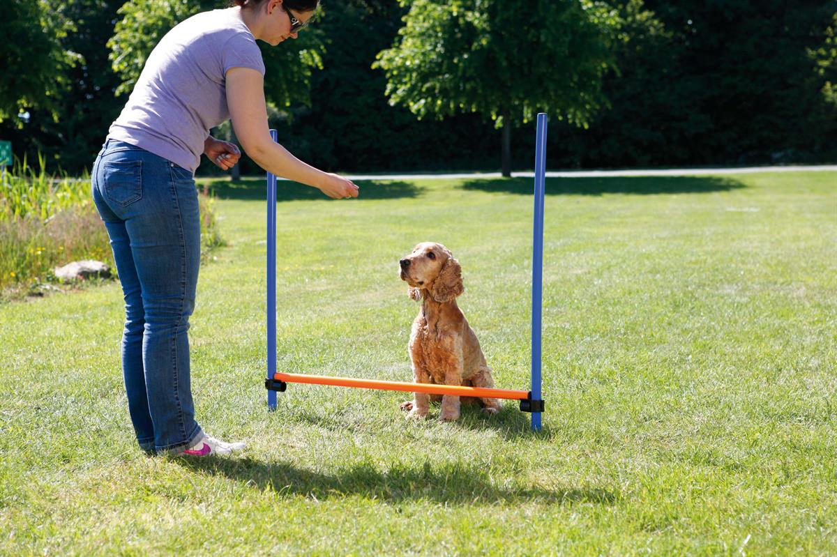 Fun Agility hurdle, plastic Euro Joe Fun Agility Hurdle, Plastic -Euro Joe shop PHO PRO DOG 3207 6