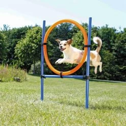 Euro Joe Fun Agility Ring, Plastic