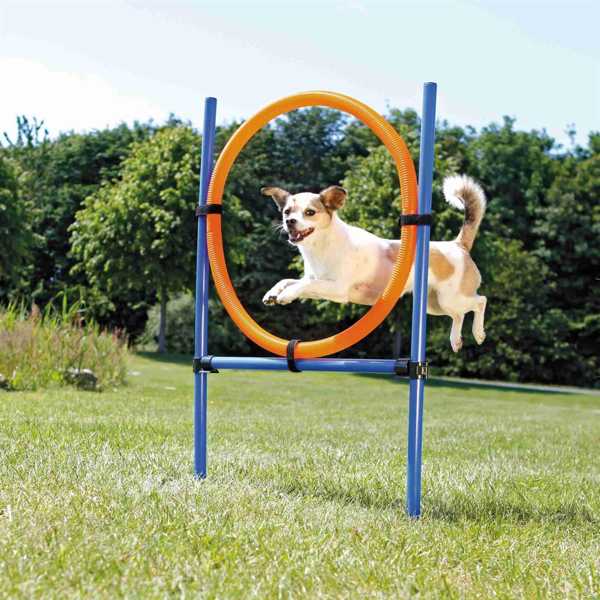 Fun Agility ring, plastic Euro Joe Fun Agility Ring, Plastic -Euro Joe shop PHO PRO DOG 3208 1
