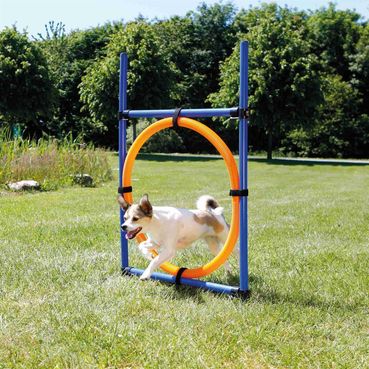 Fun Agility ring, plastic Euro Joe Fun Agility Ring, Plastic -Euro Joe shop PHO PRO DOG 3208 2