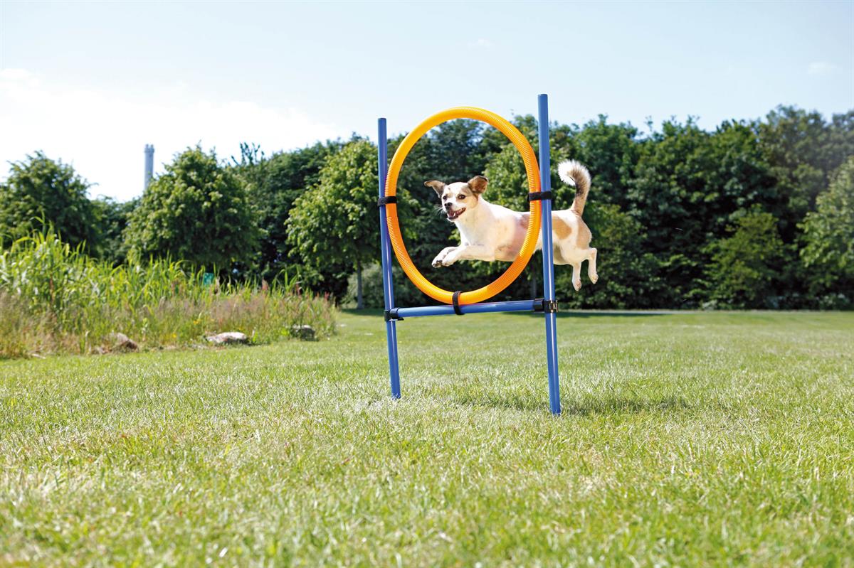 Fun Agility ring, plastic Euro Joe Fun Agility Ring, Plastic -Euro Joe shop PHO PRO DOG 3208 3