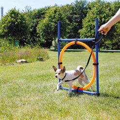 Euro Joe Fun Agility Ring, Plastic -Euro Joe shop PHO PRO DOG 3208 4