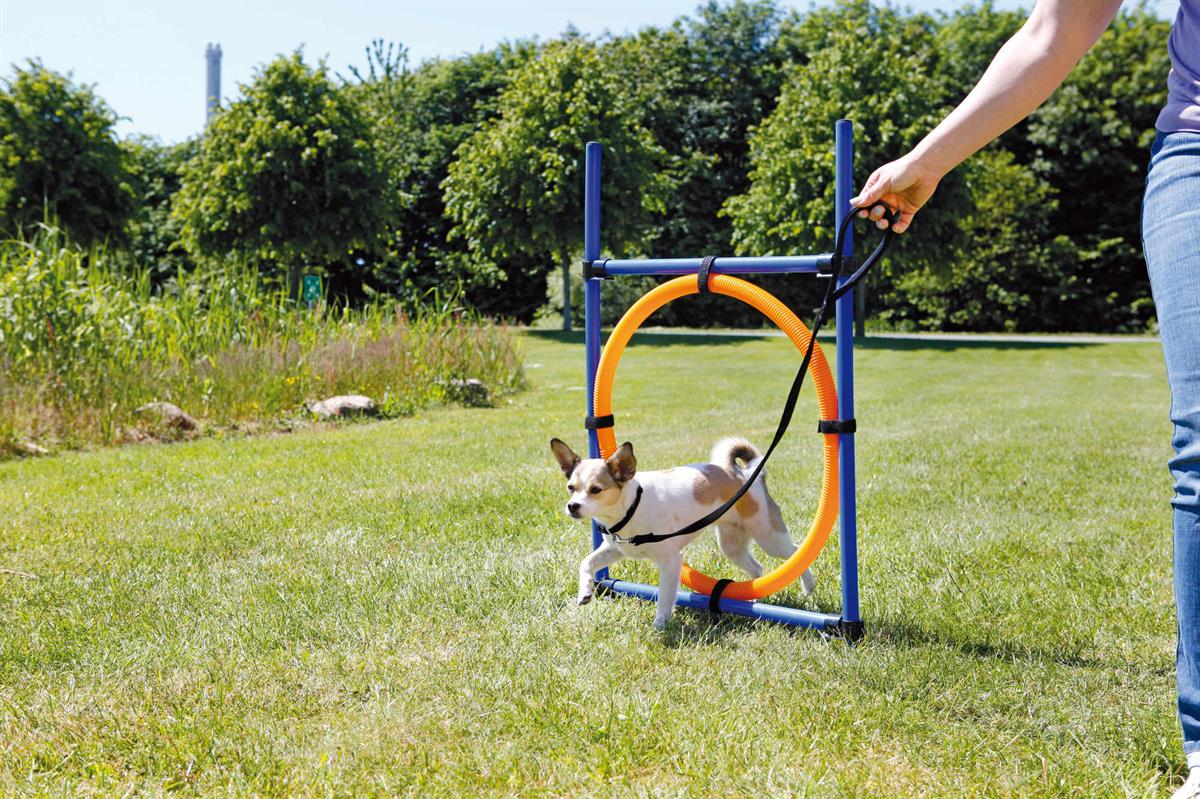 Fun Agility ring, plastic Euro Joe Fun Agility Ring, Plastic -Euro Joe shop PHO PRO DOG 3208 4