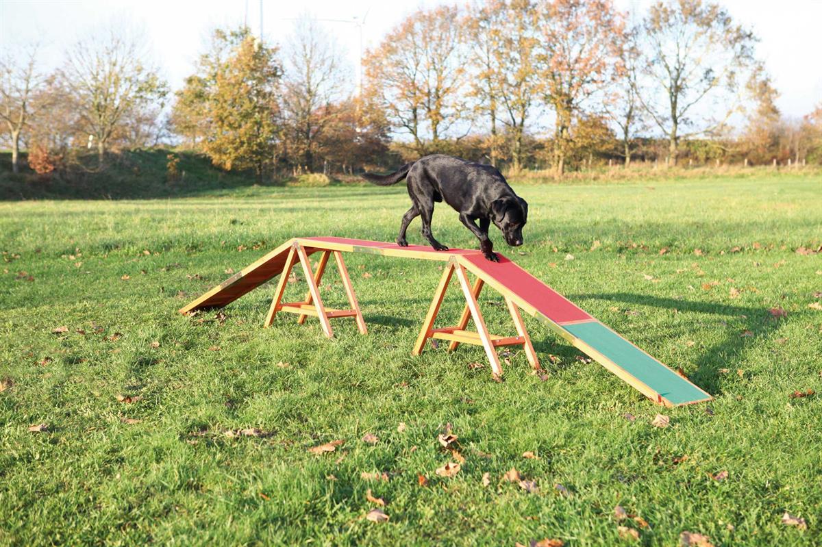 Fun Agility dogwalk Euro Joe Fun Agility Dogwalk -Euro Joe shop PHO PRO DOG 32090 2